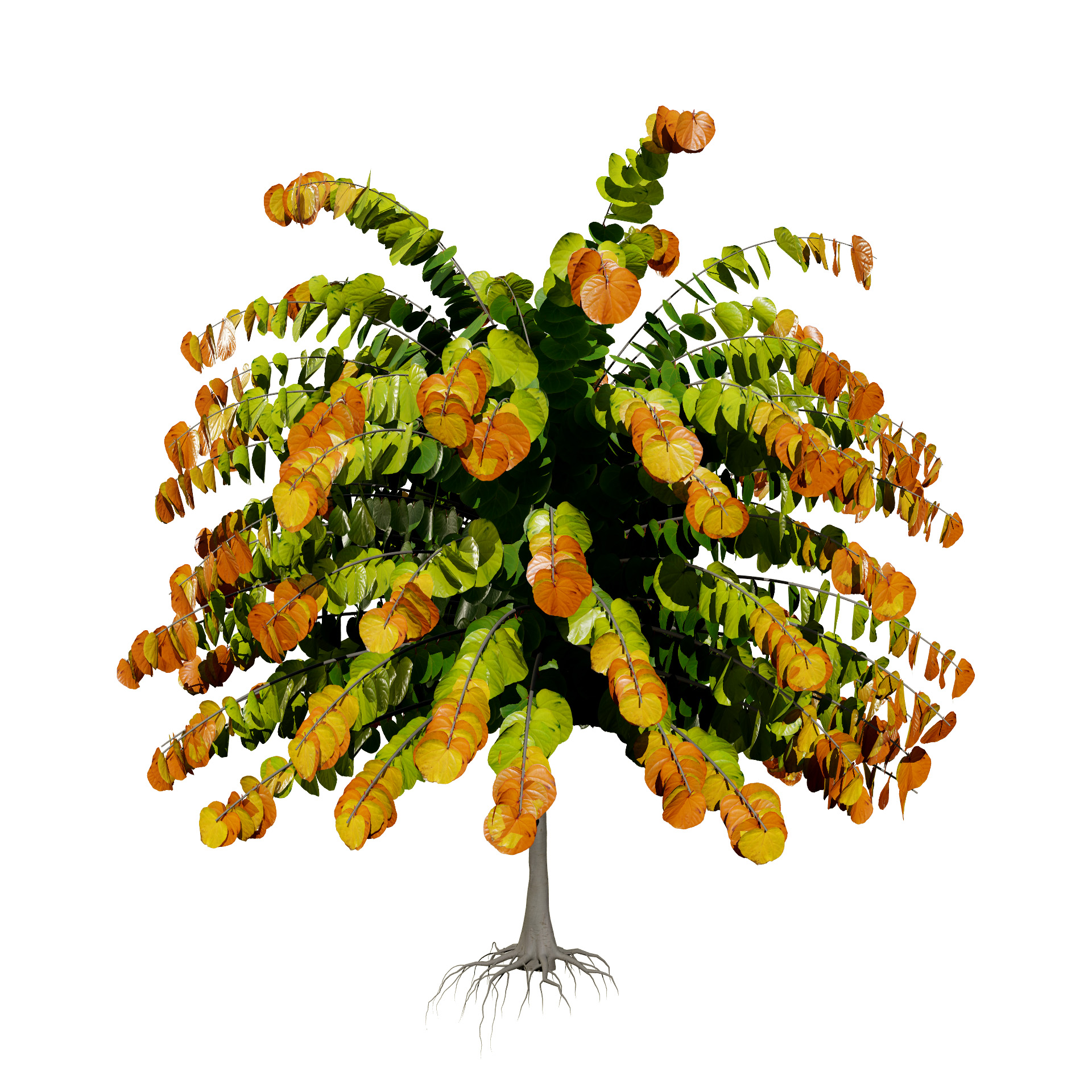 Explore the Mesmerizing Stages of a Tree’s Life Cycle - mehrazvira.com