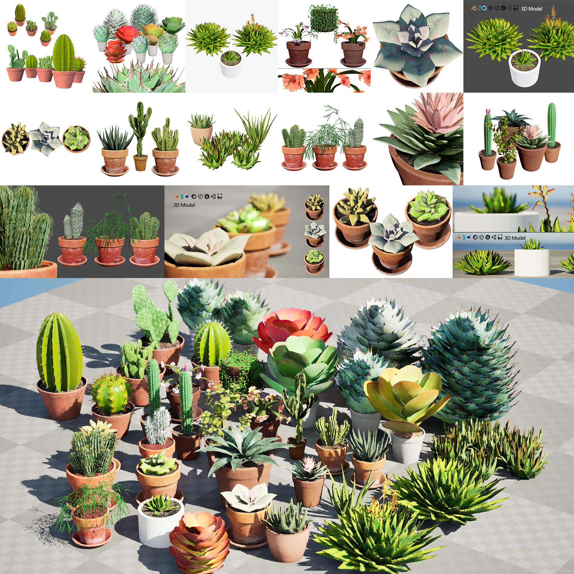 Low-Poly Potted Cactus and Succulent Collection - mehrazvira.com