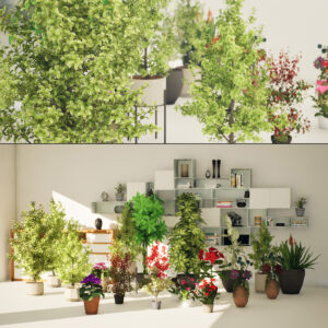 Indoor Plant 3d Collection