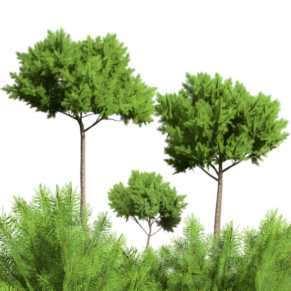 Low Poly Stone Pine Trees