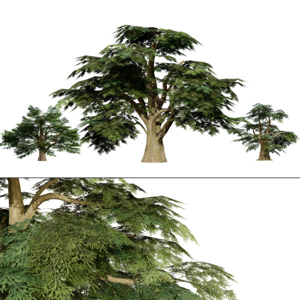 Game Ready Cedar of Lebanon Trees 3d assets