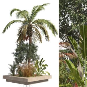 Island plants collection