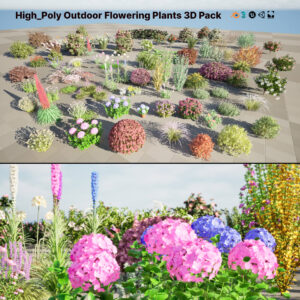 High-Poly Flowering Plants 3D Collection