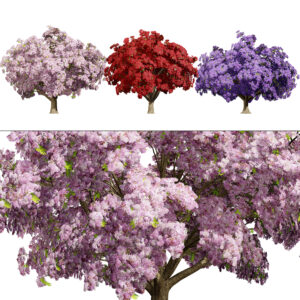 Jacaranda Tree Model