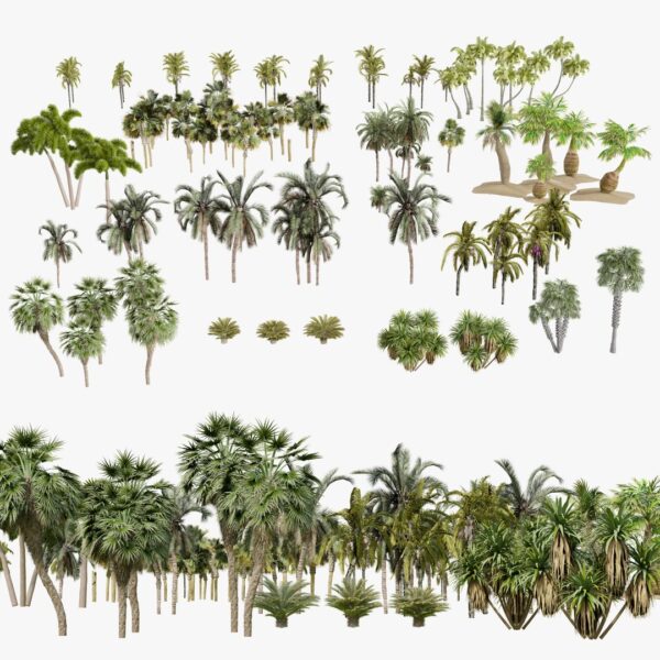 Outdoor Palm trees 3d Pack Collection