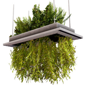 Modern Hanging Planter with Cascading Plants