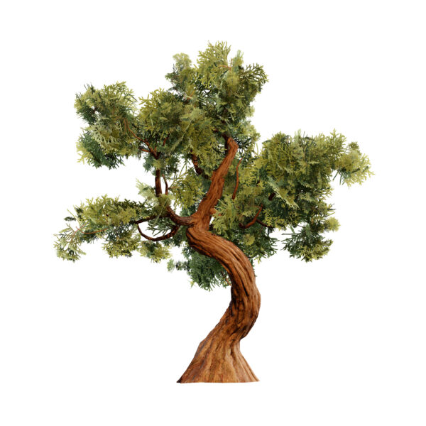 Spiral Juniper Tree 3D Model