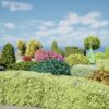 Shaped Bushes 3D Pack 01