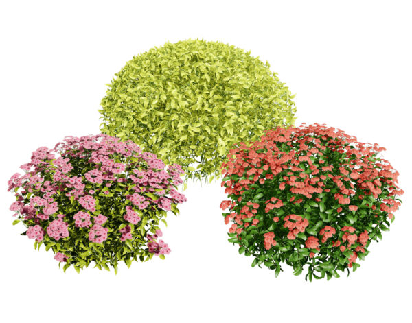 Shaped Bushes 3D Pack 01