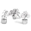 Philodendron Potted Plant Collection