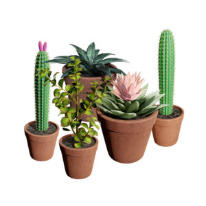 potted-cactus-3d-mode-3d-model