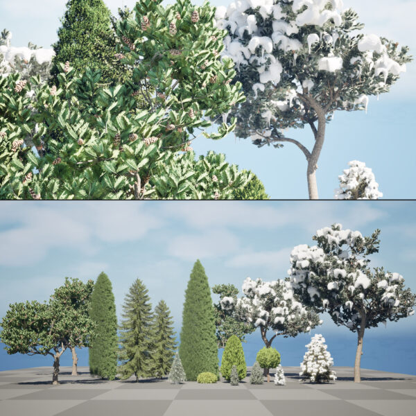 Conifer Trees 3D Pack_High Qality