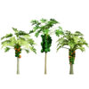 Papaya Tree 3D Model