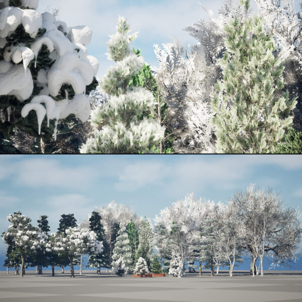 Snowy Trees Collection