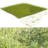 Game-Ready Grass Collection: Individual Types & Meadow Asset