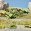 3D Nature Pack: Grass, Fern, Rocks, Palms, Meadow