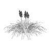 Red Hot Poker Striking Flowers with Free Tutotial