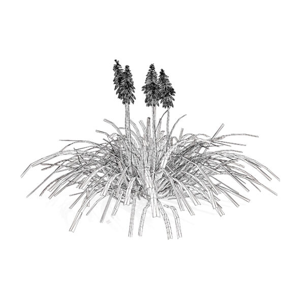 Red Hot Poker Striking Flowers with Free Tutotial
