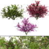 Vibrant Floral Tree Collection