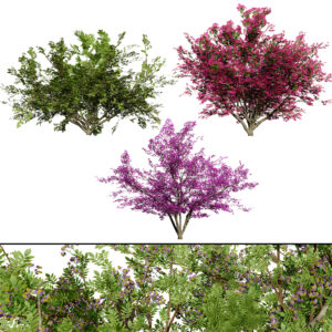 Vibrant Floral Tree Collection