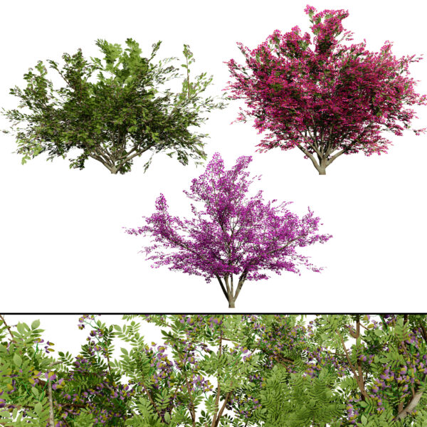 Vibrant Floral Tree Collection
