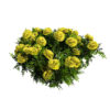 Mary Helen and Deep orange Marigold