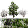 UK Hedgerow Blackthorn 3D Model Pack