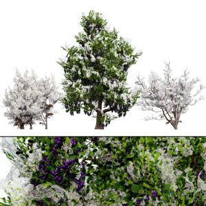 UK Hedgerow Blackthorn 3D Model Pack