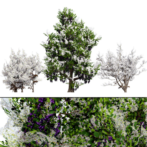 UK Hedgerow Blackthorn 3D Model Pack