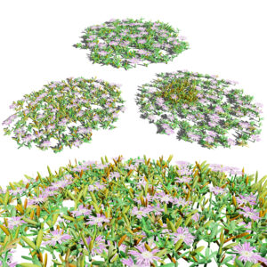 UK Purple Dewplant 3D Model Pack