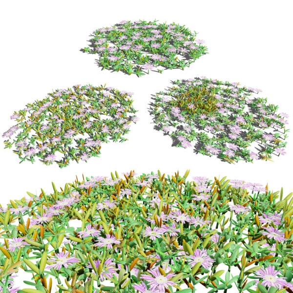 UK Purple Dewplant 3D Model Pack