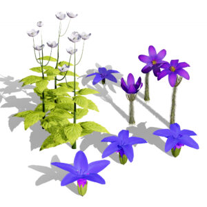 Spring Gentian & Pasqueflower 3D Pack