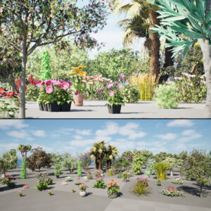 Realistic South African Vegetation 3D Models