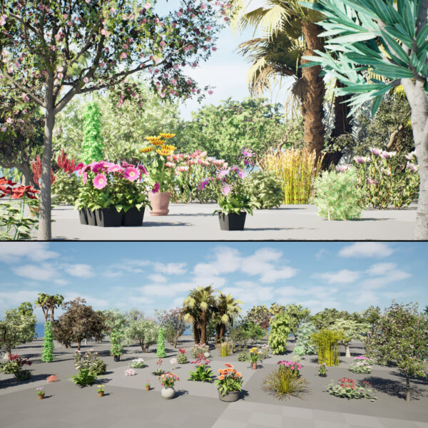 Realistic South African Vegetation 3D Models