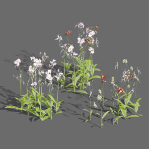 Ghost Orchid 3D Model