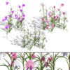 British Fritillary Flowers 3D Models