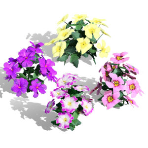 Primula vulgaris 3D Model Collection Primula vulgaris 3D Model Collection