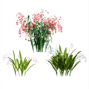 Photorealistic Lily of the Valley 3D Model Pack