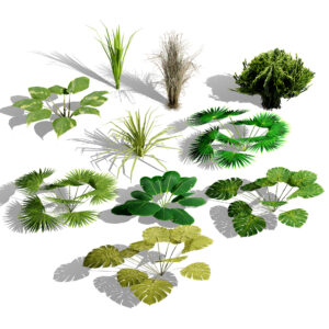 Game-Ready Tropical Foliage Pack