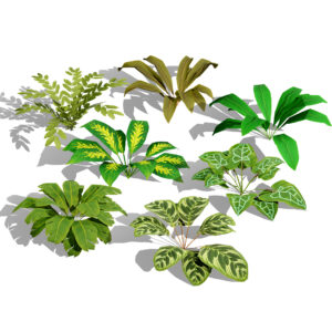Game-Ready Tropical Plants & Foliage Collection