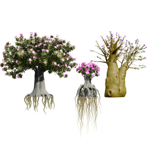 Arabian Kudu Trees 3D models