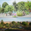 Moroccan Trees & Plants 3d pack (Full Ecosystem)