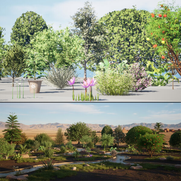 Moroccan Trees & Plants 3d pack (Full Ecosystem)