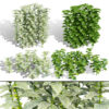 Lamium Galeobdolon 3D Ground Cover Pack Lamium Galeobdolon 3D Ground Cover Pack