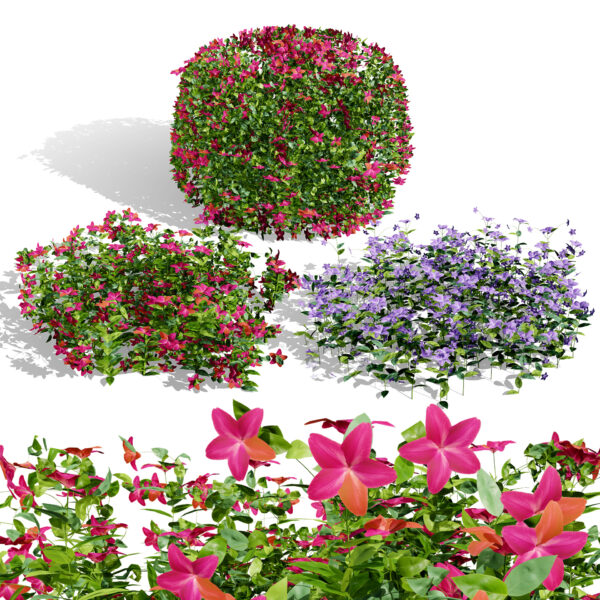 Vinca Minor Ground Cover 3D Model Pack Vinca Minor Ground Cover 3D Model Pack