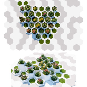 Honeycomb Vertical Garden Kit - 3D Architecture Asset