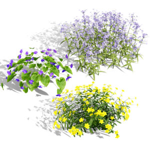 North American species collection