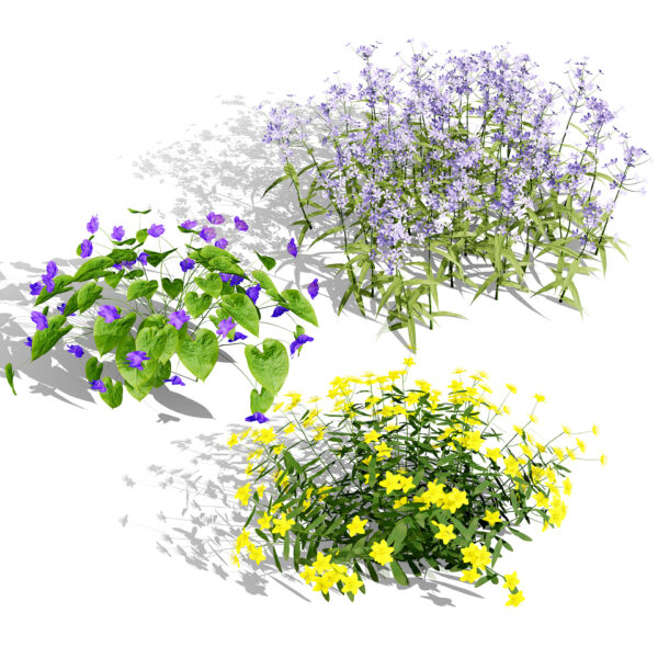 North American species collection