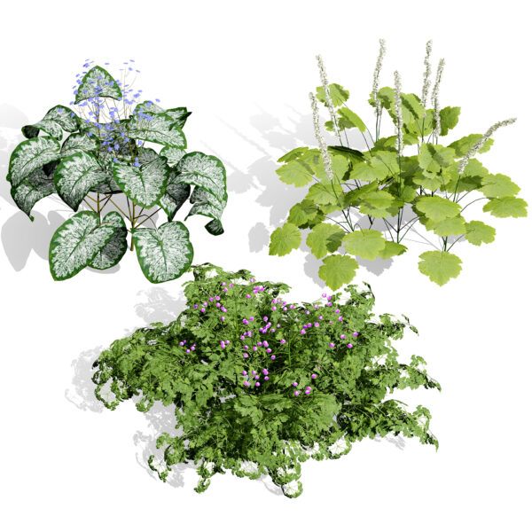 GW_Perennials and Flowering Plants