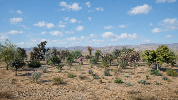 Arabian Plants and Trees 3D Pack Arabian Plants and Trees 3D Pack